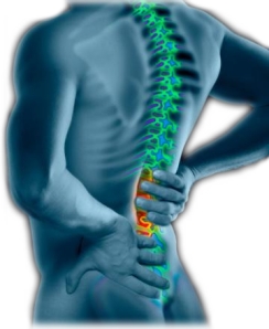 back-pain1